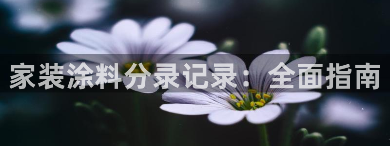 和记网页版登陆：家装涂料分录记录：全面指南