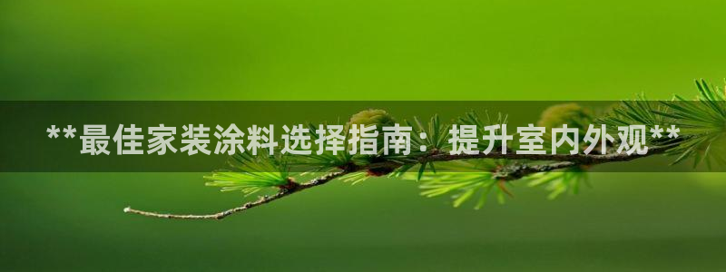 和记官方直营：**最佳家装涂料选择指南：提升室内外观**
