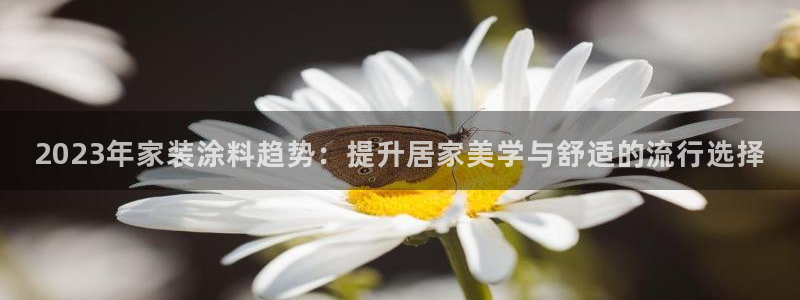 和记app官网