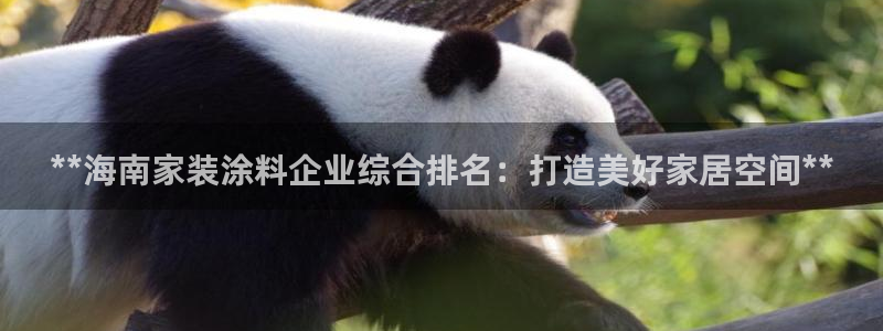 和记AG：**海南家装涂料企业综合排名：打造美好家居空间**