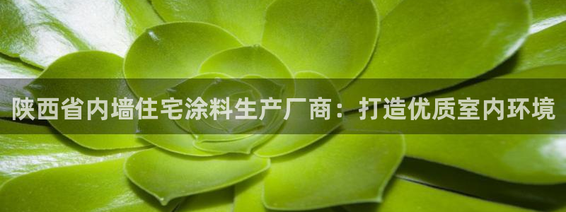 下载和记app：陕西省内墙住宅涂料生产厂商：打造优质室内环境