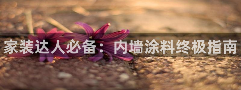 和记国际官网官网