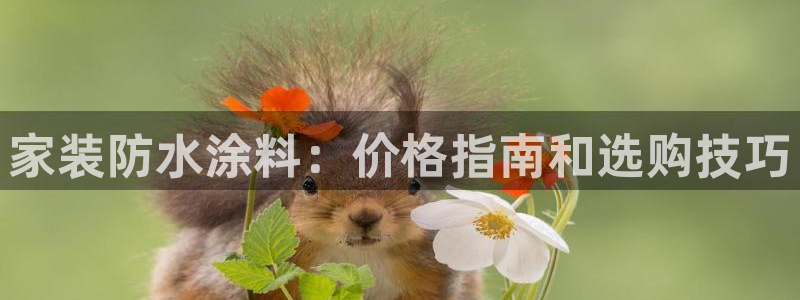 和记(福建)商贸有限公司招聘：家装防水涂料：价格指南和选购技巧