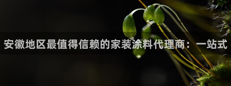 和记网页版：安徽地区最值得信赖的家装涂料代理商：一站式