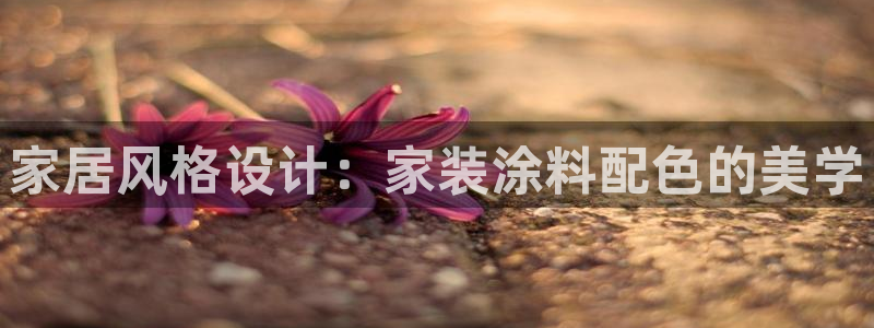 和记国际开户