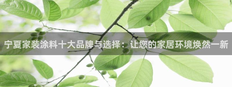和记2017app：宁夏家装涂料十大品牌与选择：让您的家居环境焕然一新