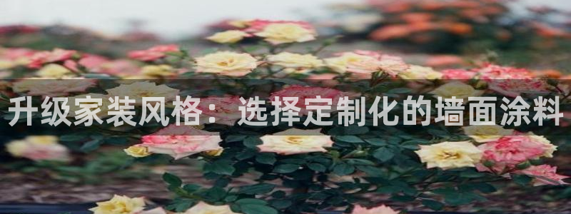 和记官方