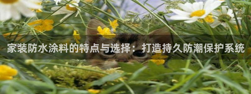 和记h88游戏：家装防水涂料的特点与选择：打造持久防潮保护系统