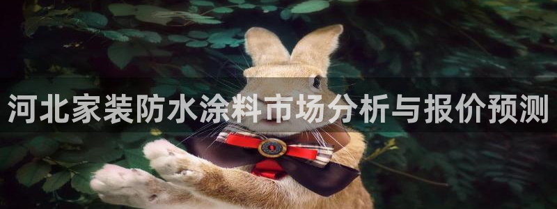 和记(福建)商贸有限公司招聘：河北家装防水涂料市场分析与报价