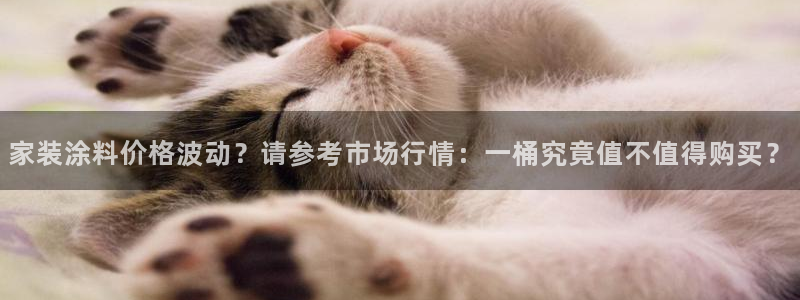 和记国际官网官网：家装涂料价格波动？请参考市场行情：一桶究竟值不值得购买？