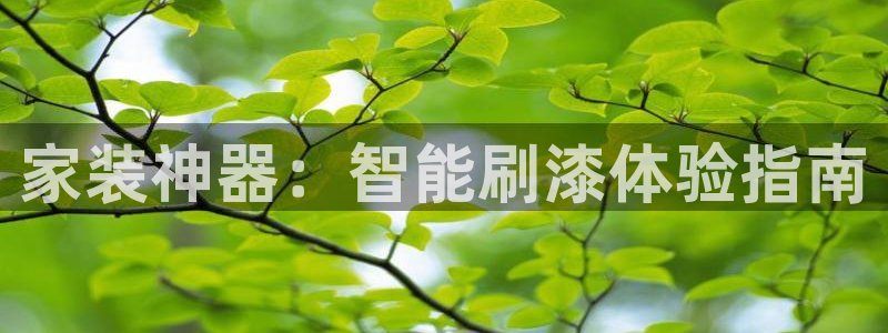 和记ag：家装神器：智能刷漆体验指南
