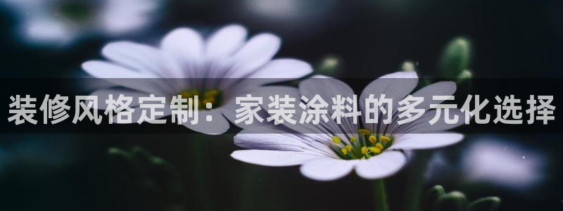 和记国际开户网站：装修风格定制：家装涂料的多元化选择