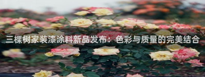和记ag登录