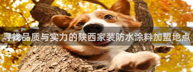 和记平台注册：寻找品质与实力的陕西家装防水涂料加盟地点