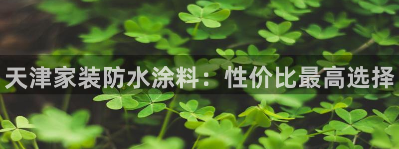 和记官方直营注册：天津家装防水涂料：性价比最高选择