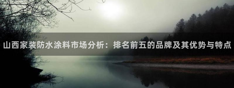 和记登陆：山西家装防水涂料市场分析：排名前五的品牌及其优势与特点