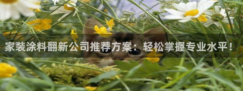 和记AG：家装涂料翻新公司推荐方案：轻松掌握专业水平！