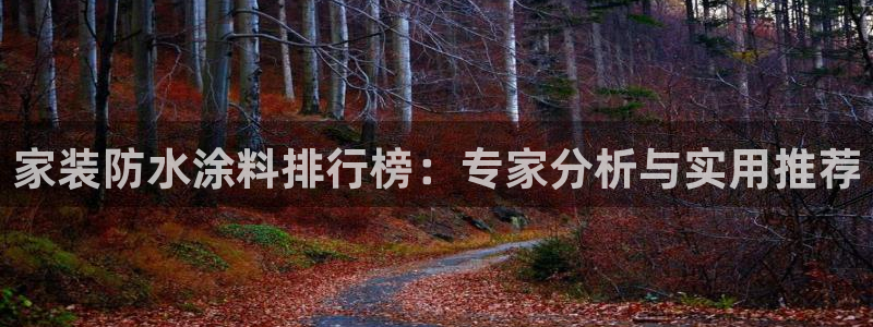 和记国际电讯市值：家装防水涂料排行榜：专家分析与实用推荐
