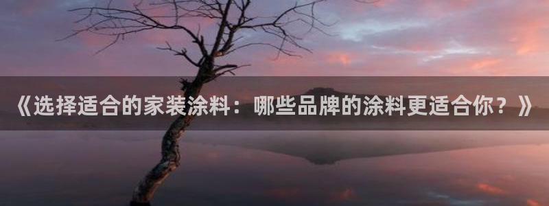和记 中国官网：《选择适合的家装涂料：哪些品牌的涂料更适合你？》