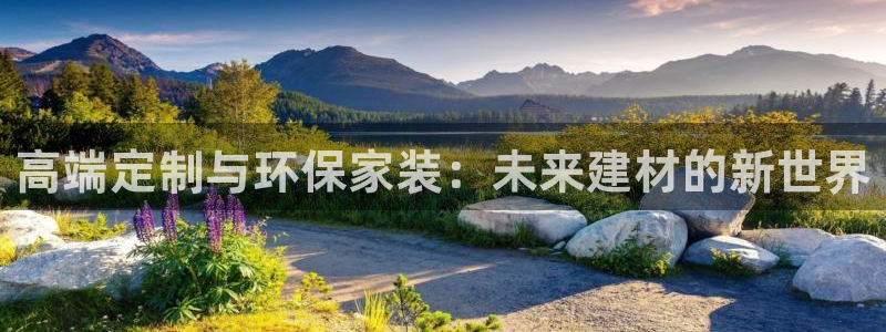 和记平台官方网：高端定制与环保家装：未来建材的新世界