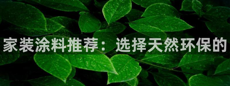和记AG网站：家装涂料推荐：选择天然环保的