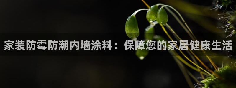 和记平台下载：家装防霉防潮内墙涂料：保障您的家居健康生活