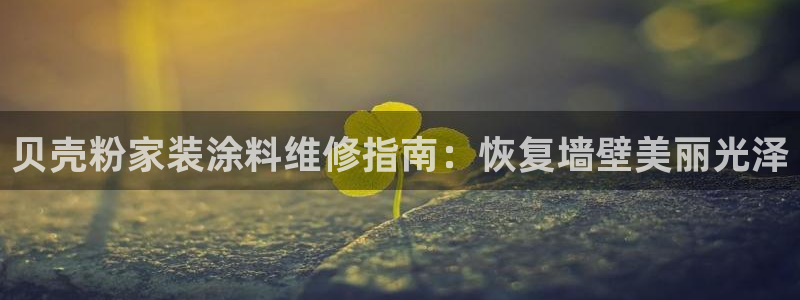 和记2017app：贝壳粉家装涂料维修指南：恢复墙壁美丽光泽