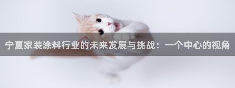和记官方网站：宁夏家装涂料行业的未来发展与挑战：一个中心的视角