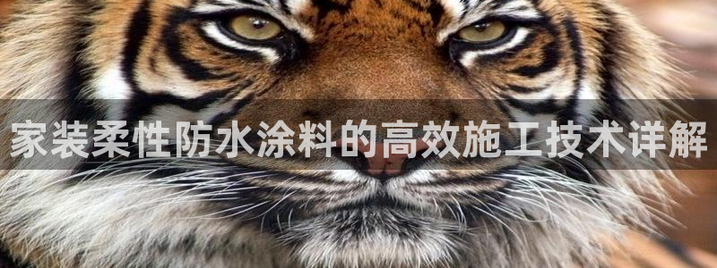 和记登陆：家装柔性防水涂料的高效施工技术详解