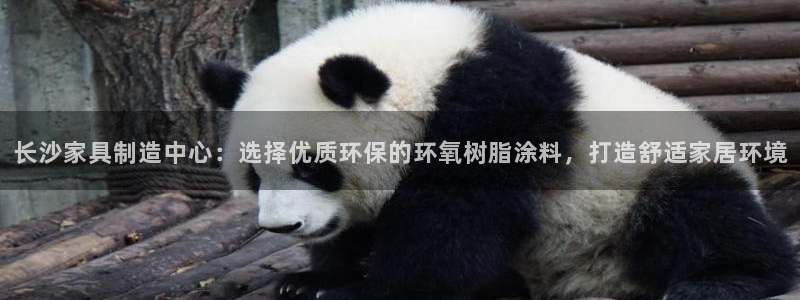 江苏和记餐饮有限公司：长沙家具制造中心：选择优质环保的环氧树脂涂料，打造舒适家居环境