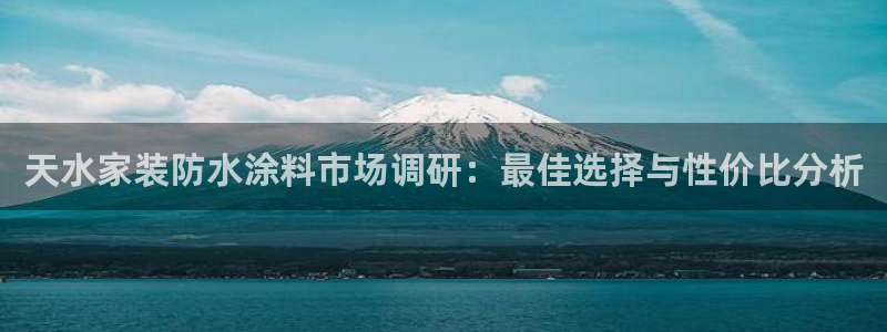 和记官方平台：天水家装防水涂料市场调研：最佳选择与性价比分析