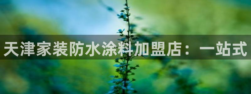 和记 中国首页：天津家装防水涂料加盟店：一站式