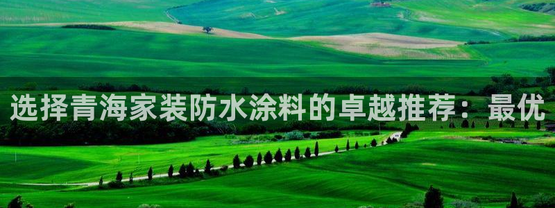 和记 官网：选择青海家装防水涂料的卓越推荐：最优