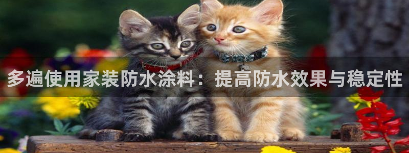 ag和记app：多遍使用家装防水涂料：提高防水效果与稳定性