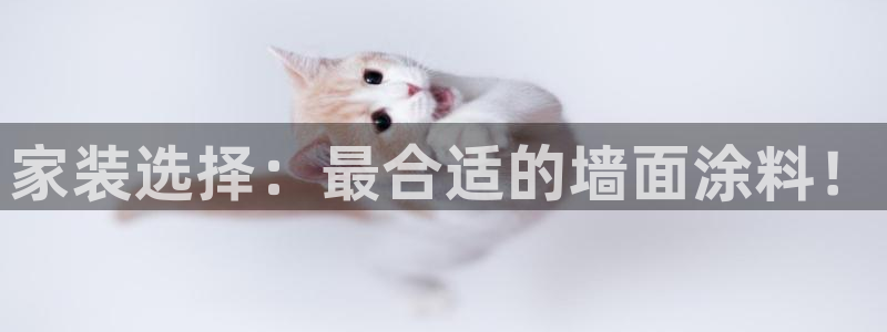 官方和记国际平台登录：家装选择：最合适的墙面涂料！