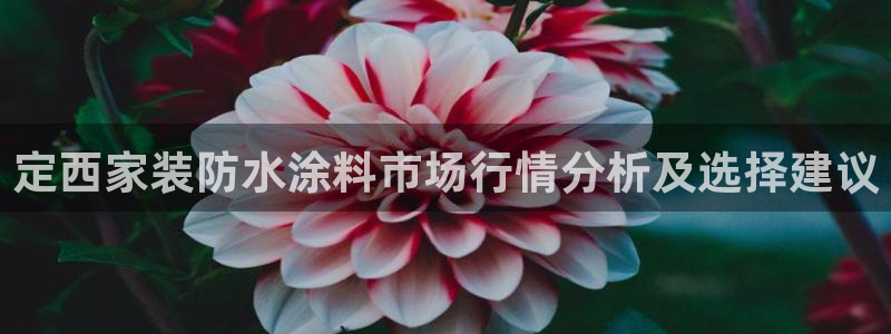 和记官方直营注册：定西家装防水涂料市场行情分析及选择建议