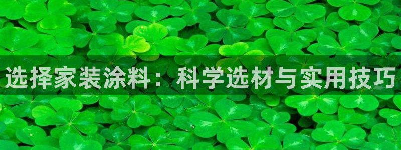 和记paging：选择家装涂料：科学选材与实用技巧