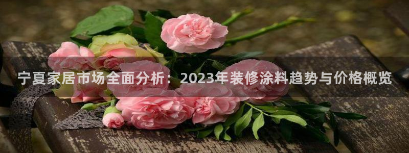 和记平台官方网：宁夏家居市场全面分析：2023年装修涂料趋势