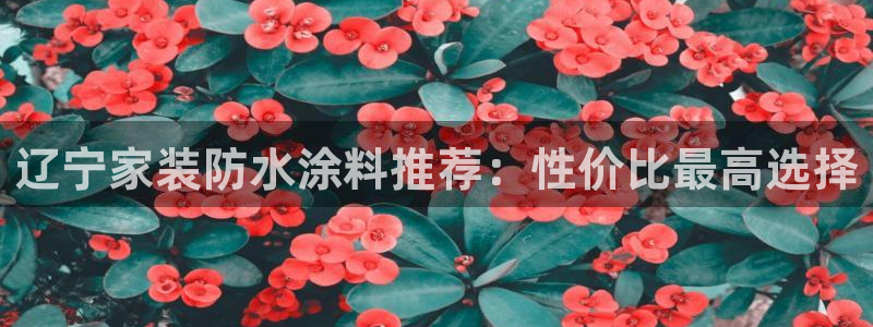 深圳和记科技有限公司：辽宁家装防水涂料推荐：性价比最高选择