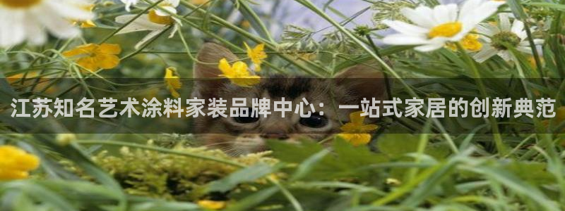 和记国际客服：江苏知名艺术涂料家装品牌中心：一站式家居的创新典范