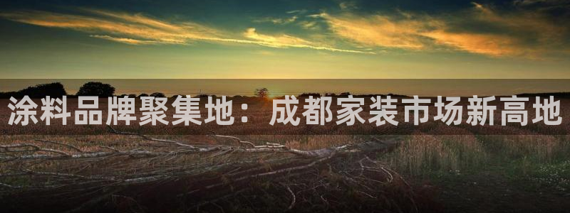 和记注册有什么送的：涂料品牌聚集地：成都家装市场新高地