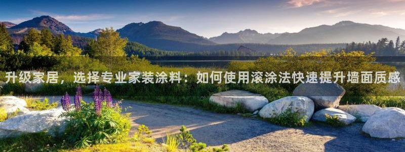 和记国际开户网站：升级家居，选择专业家装涂料：如何使用滚涂法快速提升墙面质感