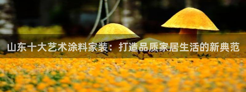 和记H88：山东十大艺术涂料家装：打造品质家居生活的新典范