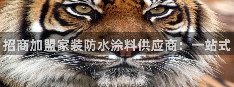 和记5g电讯：招商加盟家装防水涂料供应商：一站式