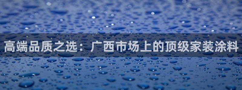 和记官网 公司：高端品质之选：广西市场上的顶级家装涂料