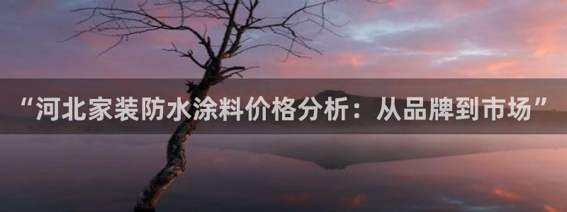 江苏和记餐饮有限公司：“河北家装防水涂料价格分析：从品牌到市场”
