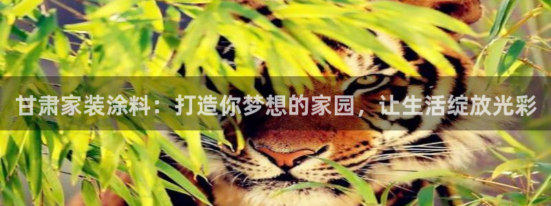 和记网页版：甘肃家装涂料：打造你梦想的家园，让生活绽放光彩