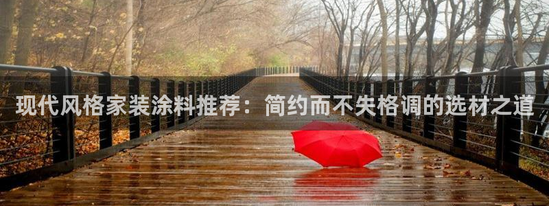 和记 官网：现代风格家装涂料推荐：简约而不失格调的选材之道