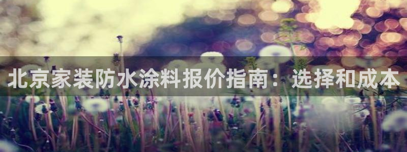 和记ag网页版：北京家装防水涂料报价指南：选择和成本