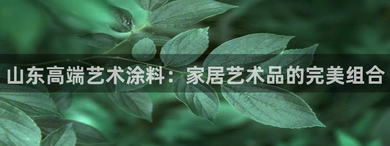 和记官网：山东高端艺术涂料：家居艺术品的完美组合